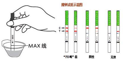 怀孕初期征兆—怀孕8个信号