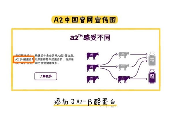 A2中国官网宣传图